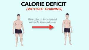 preventing muscle loss
