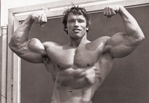 arnold arms